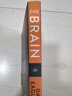英文原版 大脑的故事 The Brain The Story of You 深入大脑 大卫伊格曼 实拍图