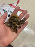 良时海 淡晒蛏干 净重250g 源头直发 蛏子肉海产干货 包邮 海鲜粥 实拍图
