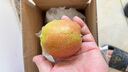 京鲜生 新疆库尔勒香梨 净重8斤 单果140g以上 生鲜水果 礼盒装 实拍图