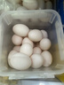 保卫蛋蛋新鲜鸽子蛋农家孕妇宝宝杂粮喂养送礼礼盒年货节礼盒送礼 店长推荐丨鸽子蛋30枚（550g+） 实拍图