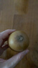 佳沛（zespri）新西兰  阳光金奇异果10粒礼盒巨大果单果约144-175g 水果 猕猴桃 实拍图