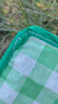 春游野餐垫户外防潮垫加厚可折叠野炊帐篷地垫露营草地沙滩垫批发 绿白格野餐垫 小号100*150 实拍图
