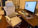 锦汐 电脑椅家用办公椅子靠背人体工学椅学习转椅老板座椅游戏电竞椅 【满配】白灰-乳胶逍遥4级杆脚踏 实拍图