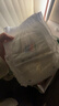 bebebus 金标茶树精华成长裤3XL20片(≥17kg)透气超薄拉拉学步裤男女宝 实拍图