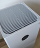 小米（MI）米家空气净化器4lite 家用除甲醛除异味PM2.5轻音设计LED显示屏智能控制小巧不占地七夕节礼物推荐 米家空气净化器 4 lite 实拍图