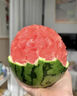 京地达安徽糖丸小西瓜 净重3-4斤1-2枚 早春红玉手剥2K 源头直发包邮 实拍图