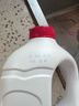 蒙牛红枣风味酸牛奶1kg 活性乳酸菌大桶家庭装低温酸奶 2桶（泡沫箱+冰袋） 实拍图