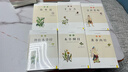 图解国医典藏系列白话版（套装共6册）黄帝内经 本草纲目 千金方 神农本草经 伤寒论  金匮要略 实拍图