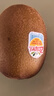 佳沛（zespri）新西兰  阳光金奇异果25-27粒原箱特大果单果约122-146g  猕猴桃 实拍图