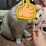 朗诺猫零食猫咪主食冻干生骨肉棒棒糖冻干鸡肉粒老板的饼试吃装礼包 冻干棒棒糖10只装（会员专属） 实拍图