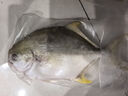 1号会员店（One's Member）甄选海南二去金鲳鱼去鳃去内脏生鲜鱼类 海鲜水产 700g/2条装 实拍图