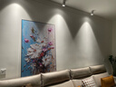 艺环宇彩绘抽象花卉客厅装饰画巨幅极简落地画肌理感壁画沙发背景墙挂画 实拍图