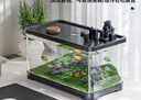 阔庭（KUOTING）鱼缸桌面透明生态鱼缸客厅水族箱黑色 实拍图
