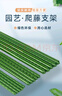 爬藤架黄瓜豆角西红柿架植物支撑杆园艺花架葡萄庭院户外牵引架 直径20mm长度210cm【10支】 实拍图
