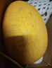 京鲜生 黄金哈密瓜 1-2粒 净重6-7斤 源头直发包邮 实拍图