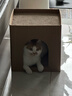 加仕高猫抓板窝瓦楞纸猫窝耐磨一体猫房子大号多猫封闭式双层猫咪纸箱屋 实拍图
