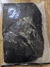 雪中飞（SNOWFLYING）儿童轻薄羽绒服男童保暖防寒新款童装中大童女童薄款冬外套 黑色 160 实拍图
