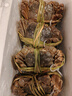 【活蟹】阳澄联合鲜活大闸蟹现货公3.5-3.8两 母2.5-2.8两 5对10只螃蟹海鲜礼盒 实拍图