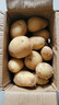 山东新鲜黄心土豆农家自种黄皮马铃薯黄心洋芋新鲜蔬菜 山东黄心大豆大果5斤 含箱 实拍图