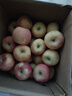 阿克苏苹果新疆阿克苏冰糖心苹果新鲜时令水果礼盒红富士丑苹果源头直发包邮 10斤特级果70-85mm 净重8.5斤以上 实拍图
