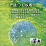 伊利纯牛奶整箱 250ml*24盒 优质乳蛋白 严选牧场 礼盒装 8月底产 实拍图