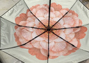 蕉下（beneunder）防紫外线遮阳伞三折双层黑胶晴雨伞防晒伞BM664花椿 实拍图