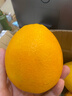 集南鲜 赣南脐橙 江西橙子新鲜现摘水果脐橙时令生鲜水果甜橙 水果礼盒 净重4.5斤 特级橙  单果200g+ 实拍图