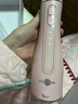 博皓（prooral）冲牙器/洗牙器/水牙线/洁牙器 手持立式设计 F27Pro粉色大水箱版【生日节日礼物】 实拍图