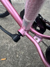 途锐达超轻儿童自行车6-8-12岁女孩男孩脚踏车小孩学生单车20寸蜂鸟粉 实拍图