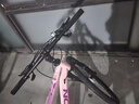 飞鸽（FLYING PIGEON）山地自行车成人男女变速山地车青少年中小学生车越野户外骑行单车 【高碳钢】G8002代-辐条轮-粉色 26寸轮组（适合160-180cm） 21速入门版 实拍图