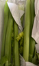 新鲜出土西芹大颗半叶绿色蔬菜榨汁专用甜脆嫩心时令蔬菜现割现发 1斤尝鲜款 实拍图