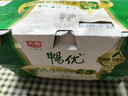 光明 畅优 原味 100g*16 酸奶酸牛奶风味发酵乳 实拍图