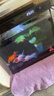 森森金麟超白玻璃鱼缸一体缸自循小型懒人家用水族箱LE-300 实拍图