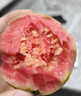 京鲜生 红心珍珠芭乐 番石榴 净重3斤 单果150g+ 生鲜水果中秋礼盒 实拍图