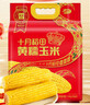 十月稻田 黄糯玉米 3.52斤(220g*8根) 东北粘苞米 早餐零食 蛇年限定 实拍图