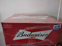 百威（BUDWEISER）百威啤酒 淡色拉格 麦芽熟啤黄啤 经典红罐 450ml*20罐 整箱批发 百威红罐 450mL 20罐 整箱装 实拍图