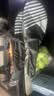 迪卡侬便携网球拍套网球拍包网球球拍袋ten拍套（轻盈升级）-4237469 实拍图