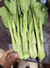 桃西村【顺丰直达】正宗广东迟菜心连州菜心农家自种新鲜蔬菜清甜无渣菜 5斤 优选礼盒装 实拍图