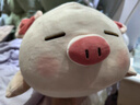 MINISO名创优品柴犬小猪弹力超柔娃娃可爱毛绒玩偶抱枕生日礼物公仔圣诞 小猪B-BO（37*23cm) 见详情图 实拍图