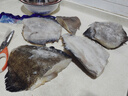 鲜拔头筹鲽鱼身蝶鱼中段 格陵兰深海鸦片鱼头比目鱼进口生鲜海鲜 精品 鲽鱼身净重 2.5kg （3-5块） 实拍图