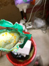 【热销百万单】正宗咸鸭蛋50g/枚饱满流油生鲜超市早餐新鲜即食 4枚 实拍图