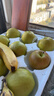 梨贡士隰县梨园 山西隰县玉露香梨 临汾馆玉露香梨脆甜多汁梨子特产 15颗中果（8斤装） 实拍图