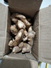 产地直发贵州镇宁新鲜现挖小黄姜生姜黄姜调味料新鲜蔬菜生鲜 半斤体验装 250g 实拍图