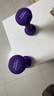 PROIRON普力艾 浸塑哑铃女士家用纯铁小哑铃儿童初学者健身 紫色1.5kg*2 实拍图