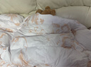 LOVO罗莱 A类 95%白鹅绒羽绒被 抗菌春秋被500g填充200*230cm花色 实拍图