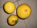 福建平和黄金爆汁葡萄柚新鲜树熟应季水果清甜多汁柚子 8.5斤 实拍图