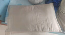 洁丽雅（Grace）A类纯棉高弹酒店枕头枕芯护颈枕颈椎枕家用枕芯成人睡觉专用高枕 实拍图