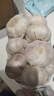 山东金乡蒜大蒜出口标准精选大蒜头蔬菜调料单果5cm 出口标准网兜装箱 455g 5-5.5cm特大 实拍图