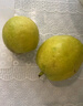 京鲜生 新疆特级库尔勒香梨 净重5斤单果120g以上 生鲜水果 实拍图