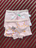 北极绒4条装儿童内裤女童发育期纯棉女孩学生10A抑菌平角短裤宝宝中大童 实拍图